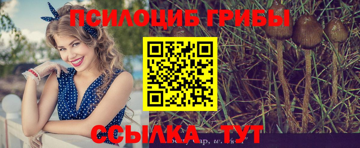 Галлюциногенные грибы GOLDEN TEACHER Анапа